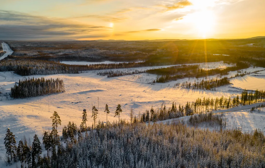 A view of snowy fields and woodlands at dusk 